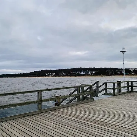 Marin, 25 * צינוביץ